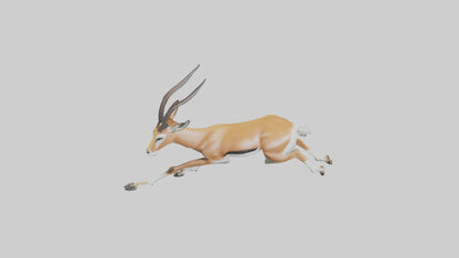 Springbok running model 3D model