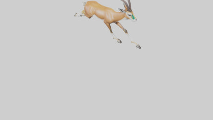 Springbok running model 3D model