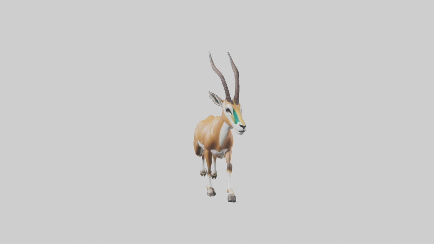 Springbok running model 3D model