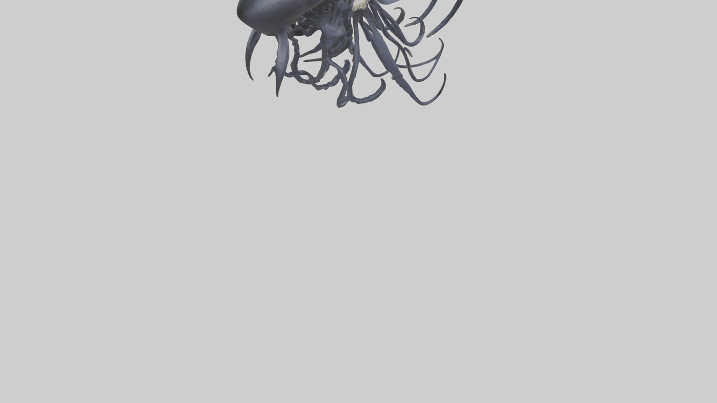 Squid Ink Skeleton model 3D model