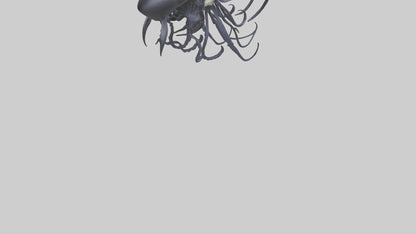Squid Ink Skeleton model 3D model