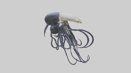 Squid Ink Skeleton model 3D model