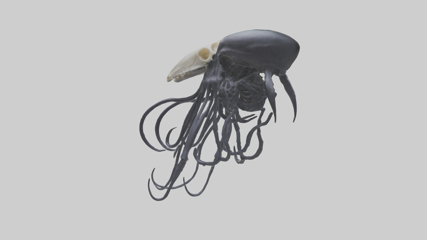 Squid Ink Skeleton model 3D model
