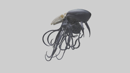 Squid Ink Skeleton model 3D model