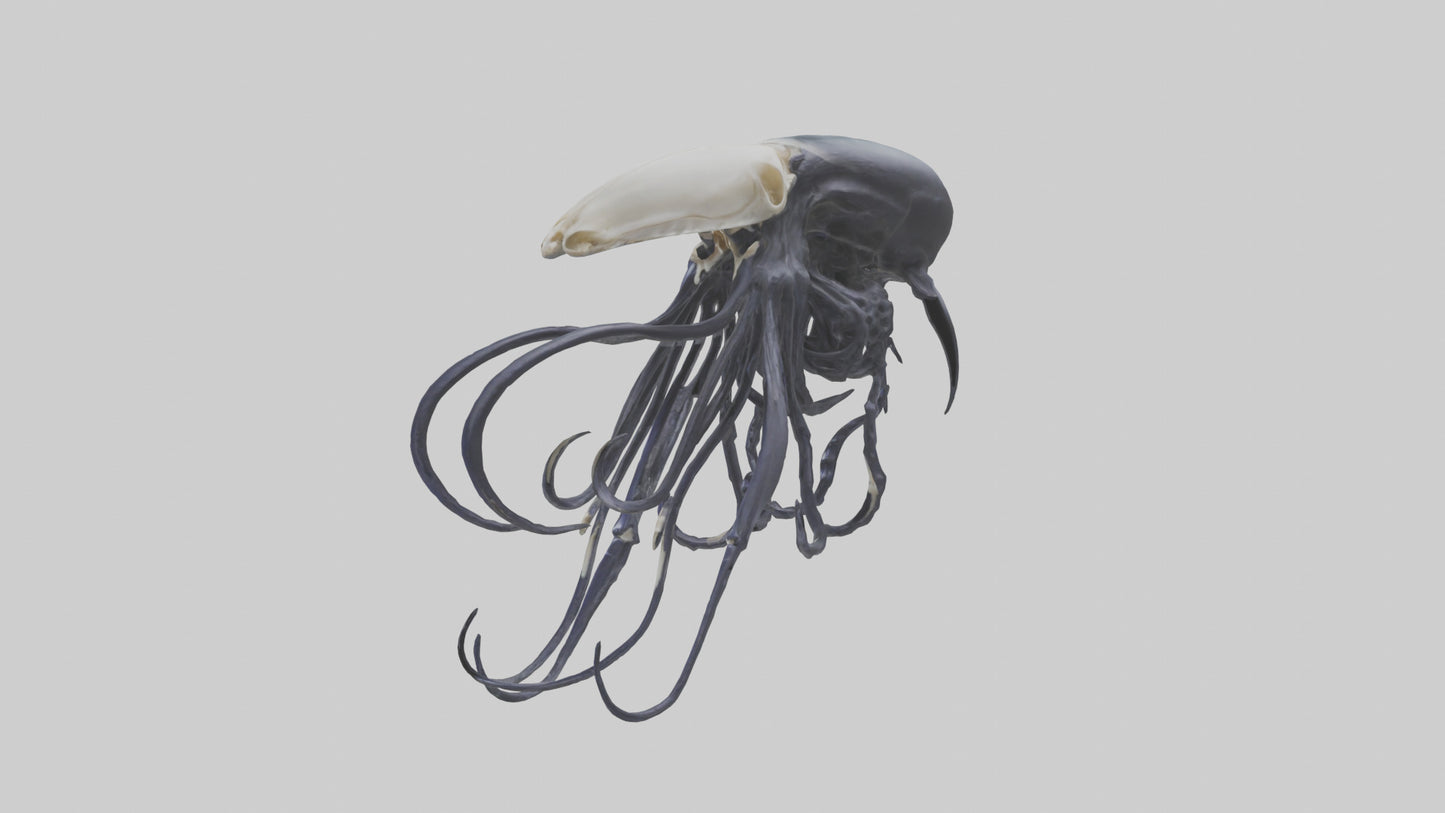 Squid Ink Skeleton model 3D model