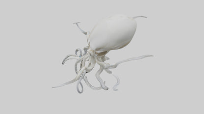 Squid Skeleton model 3D model