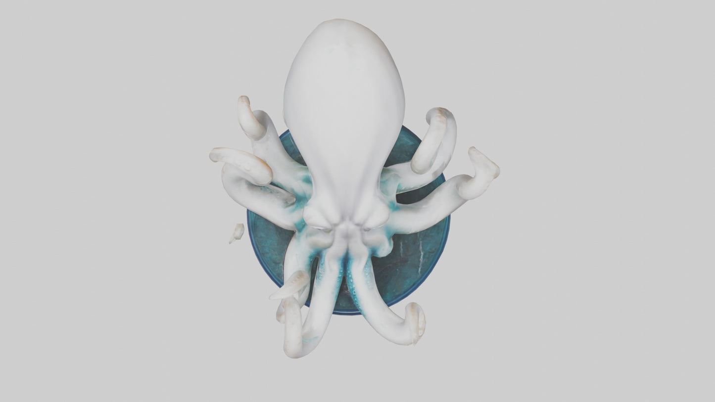 Squid statue model 3D model