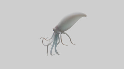 Squid swimming model 3D model