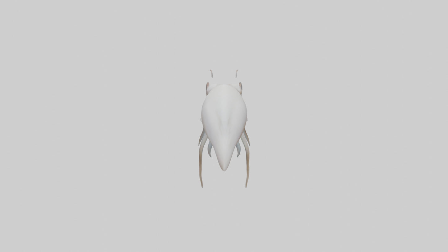 Squid swimming model 3D model