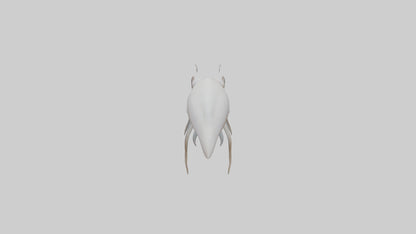Squid swimming model 3D model