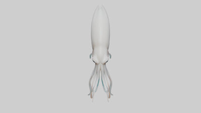 Squid swimming model 3D model