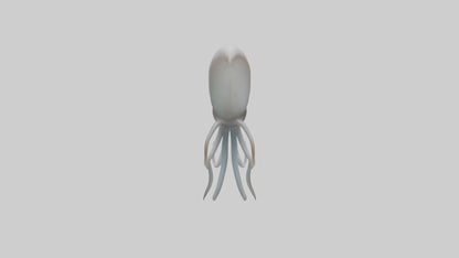 Squid swimming model 3D model