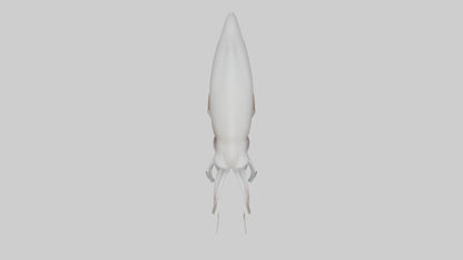 Squid swimming model 3D model