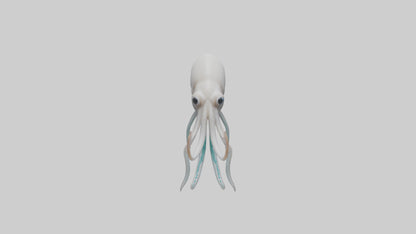 Squid swimming model 3D model