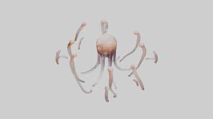 Squid Tentacles 3D model