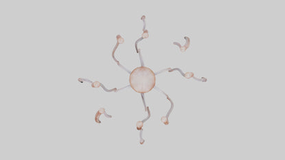 Squid Tentacles 3D model