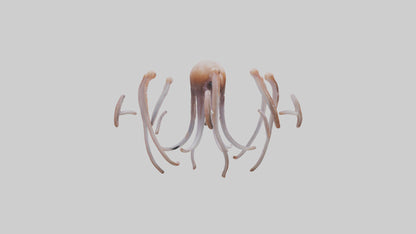 Squid Tentacles 3D model