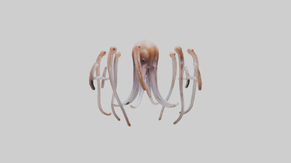 Squid Tentacles 3D model
