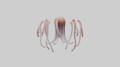 Squid Tentacles 3D model