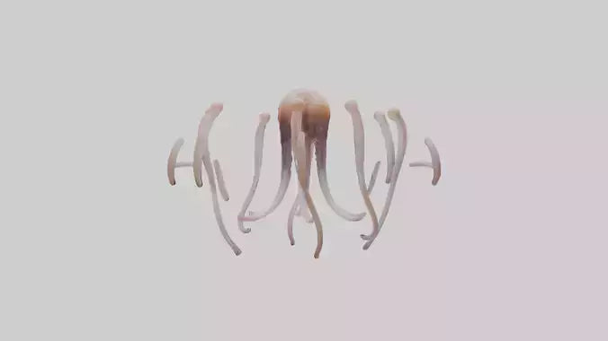 Squid Tentacles 3D model