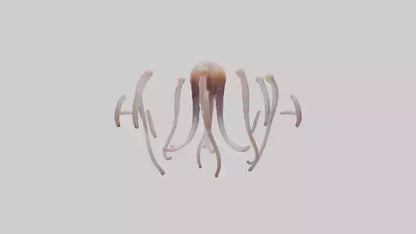Squid Tentacles 3D model