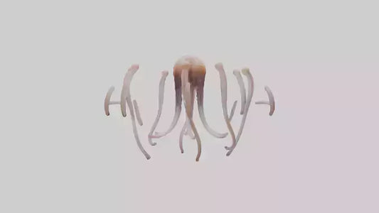 Squid Tentacles 3D model
