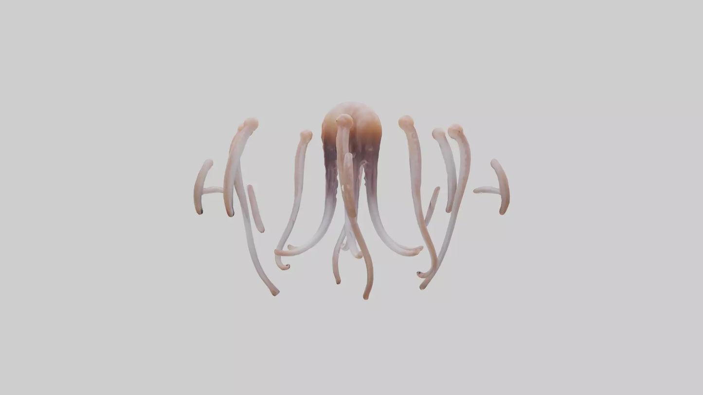 Squid Tentacles 3D model
