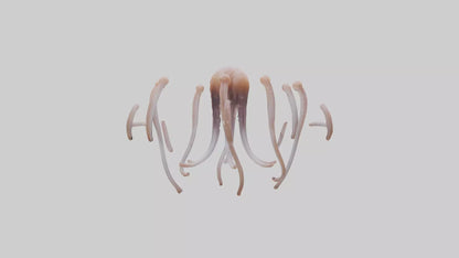 Squid Tentacles 3D model