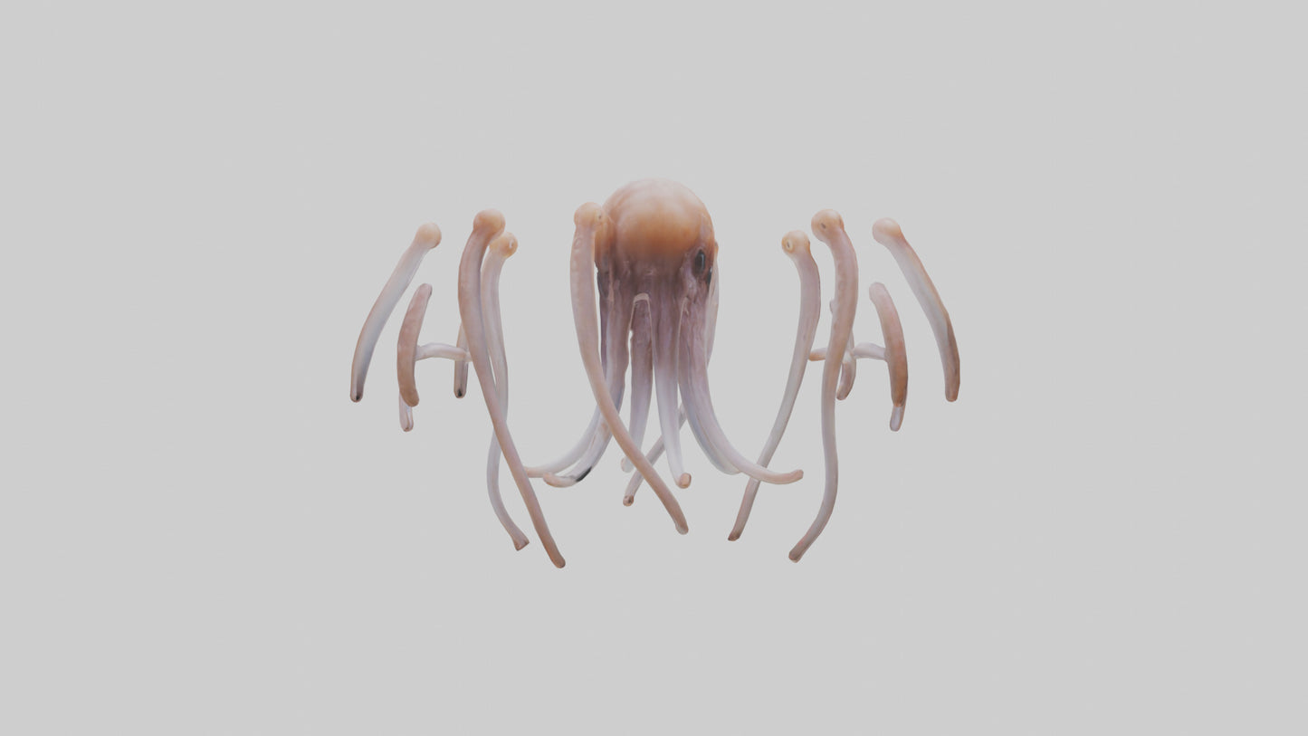 Squid Tentacles 3D model