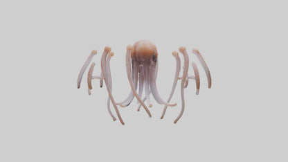 Squid Tentacles 3D model