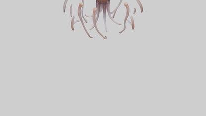 Squid Tentacles 3D model
