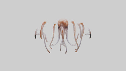 Squid Tentacles 3D model