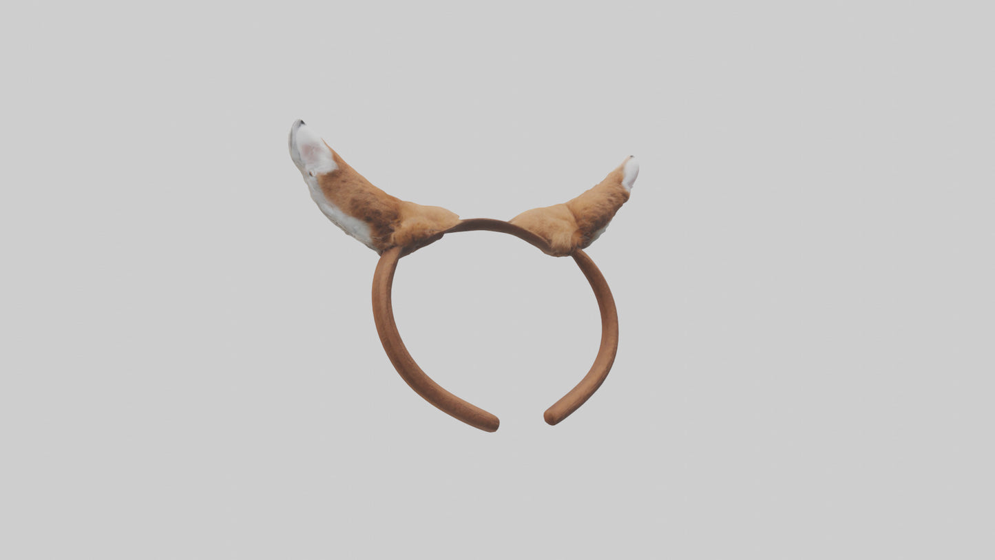 Squirrel Ears 3D model