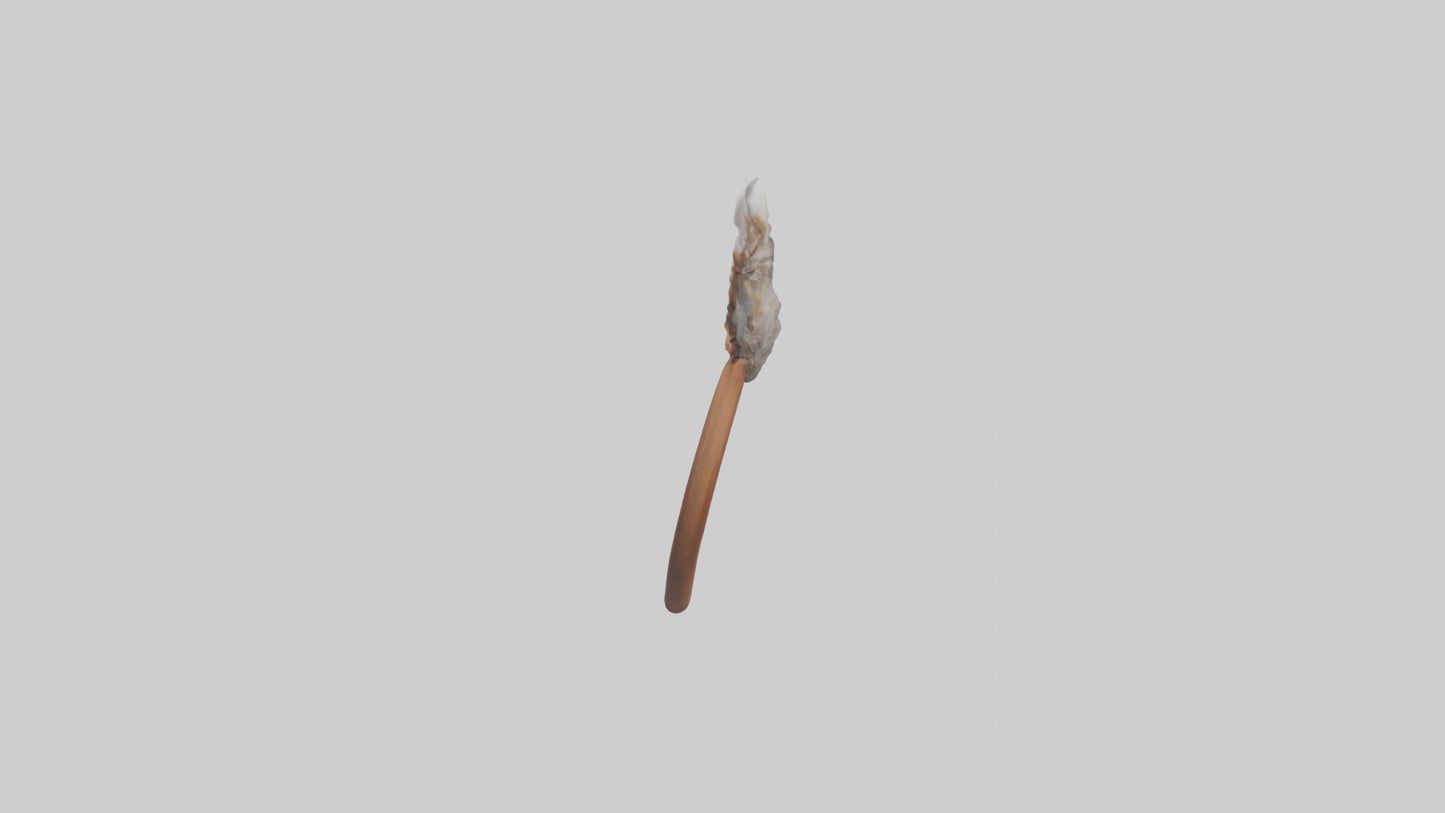 Squirrel Ears 3D model