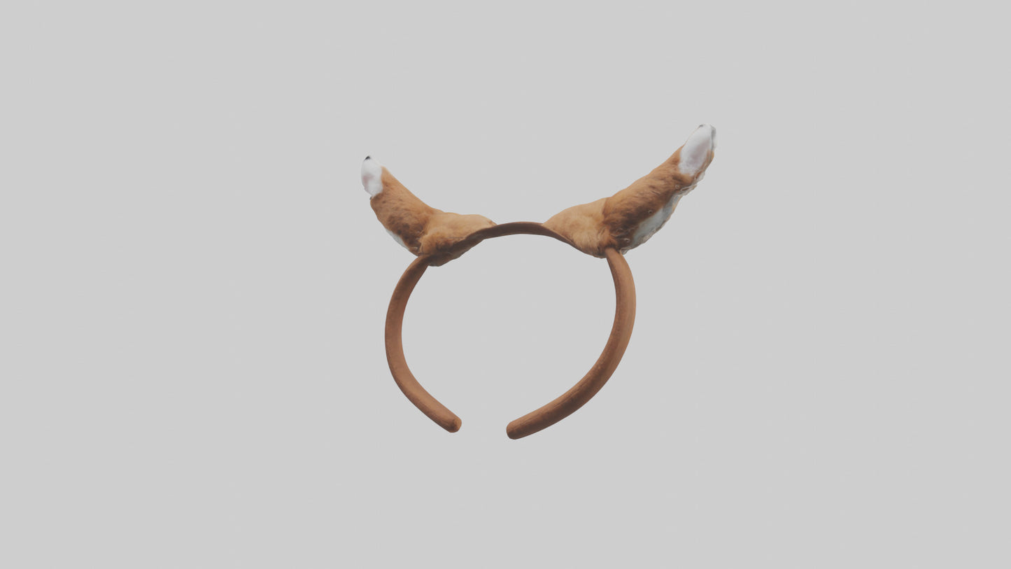 Squirrel Ears 3D model