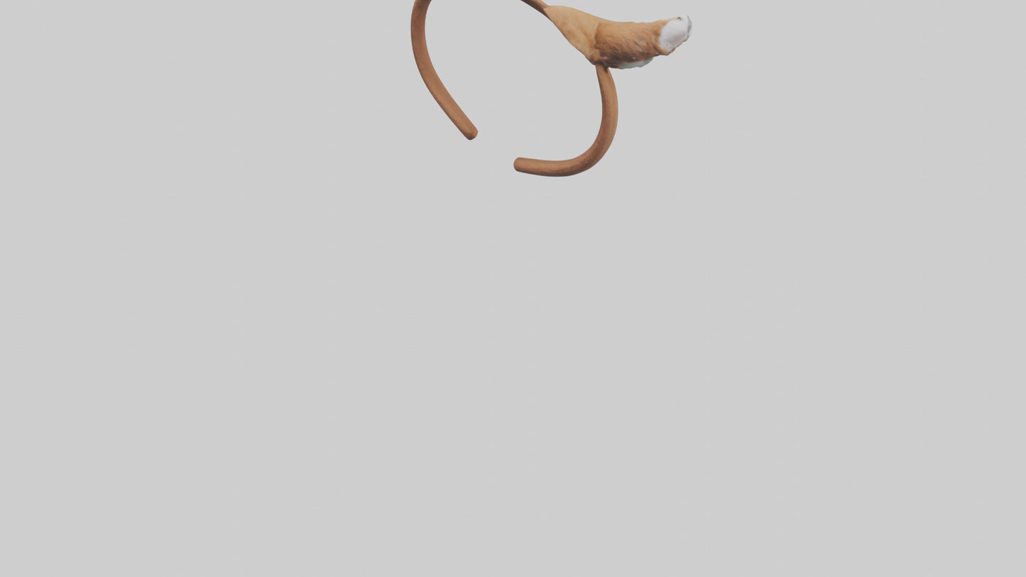 Squirrel Ears 3D model