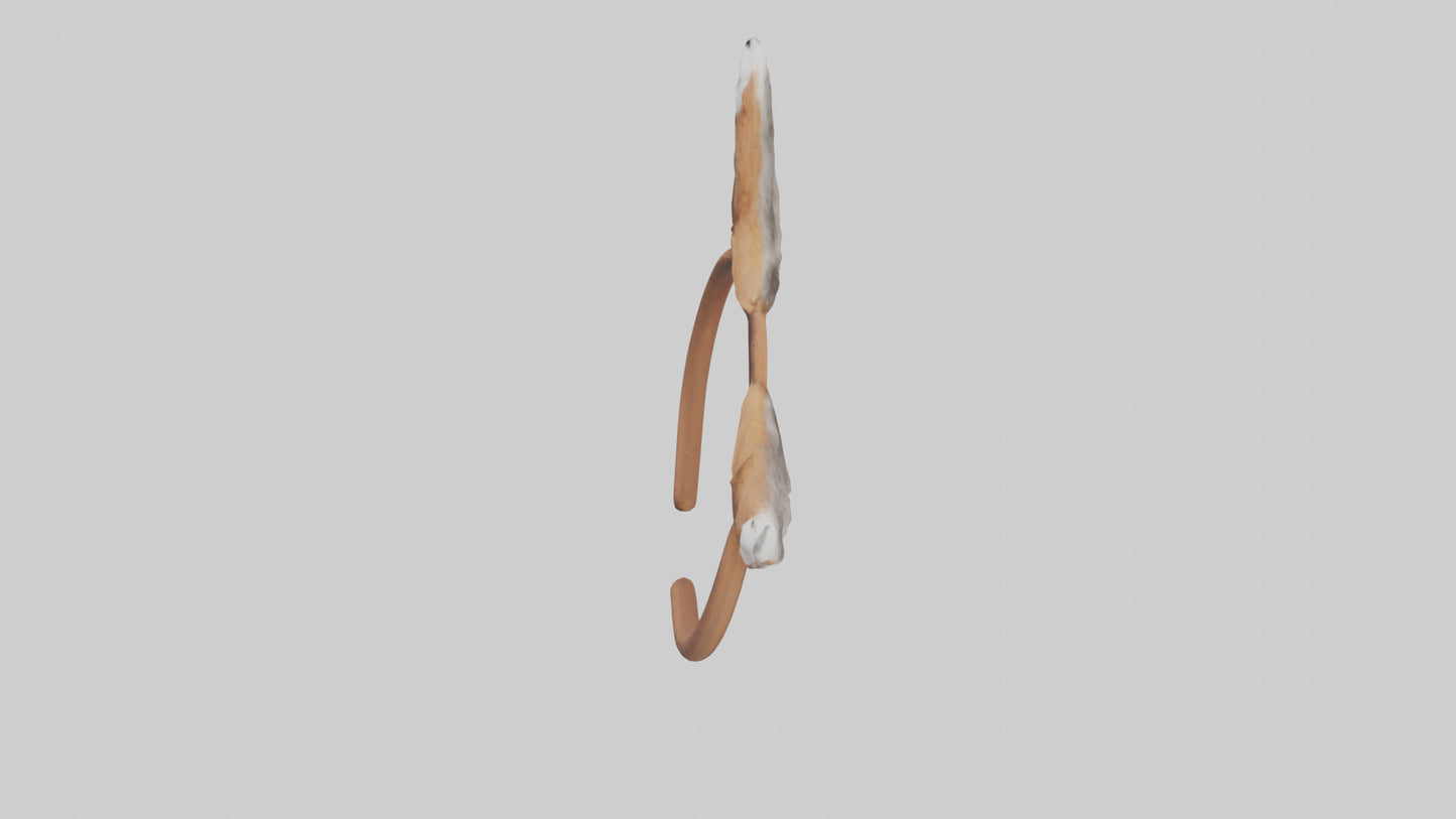 Squirrel Ears 3D model