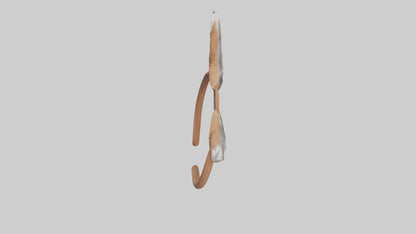 Squirrel Ears 3D model