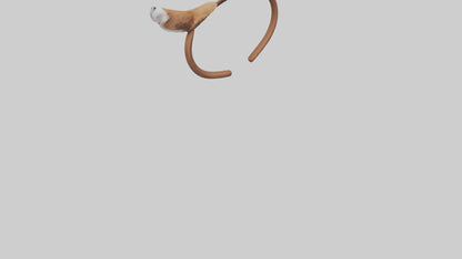 Squirrel Ears 3D model