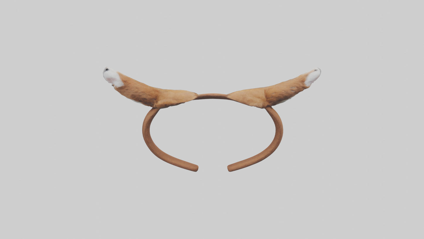 Squirrel Ears 3D model