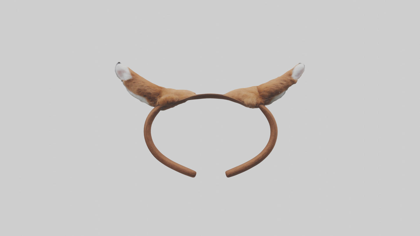 Squirrel Ears 3D model