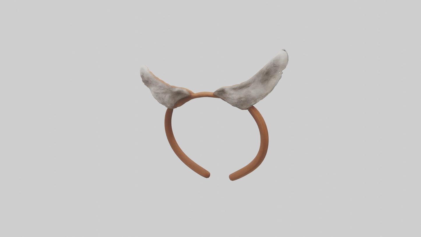 Squirrel Ears 3D model