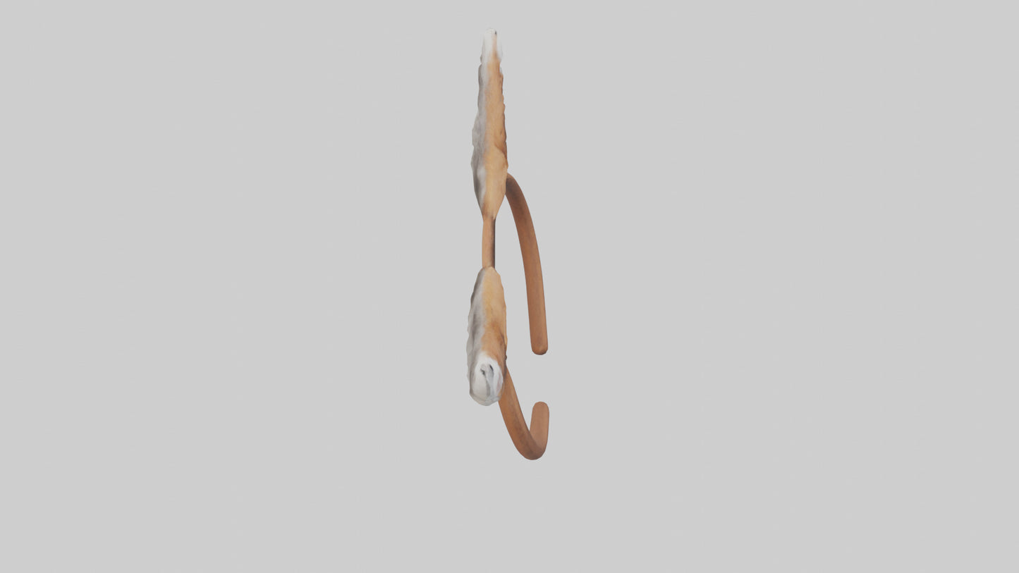 Squirrel Ears 3D model