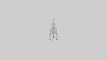 Squirrel Skeleton model 3D model
