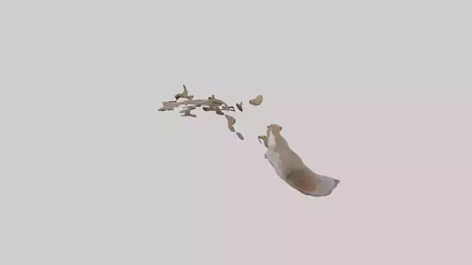 Squirrel Tail 3D model