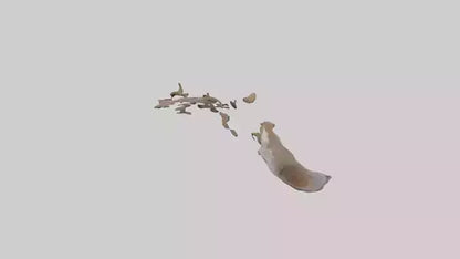 Squirrel Tail 3D model