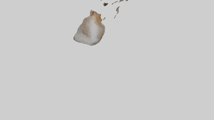 Squirrel Tail 3D model