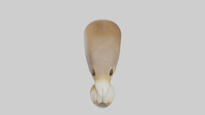 Squirrel Teeth Model 3D model