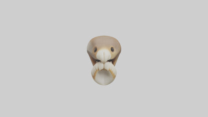 Squirrel Teeth Model 3D model