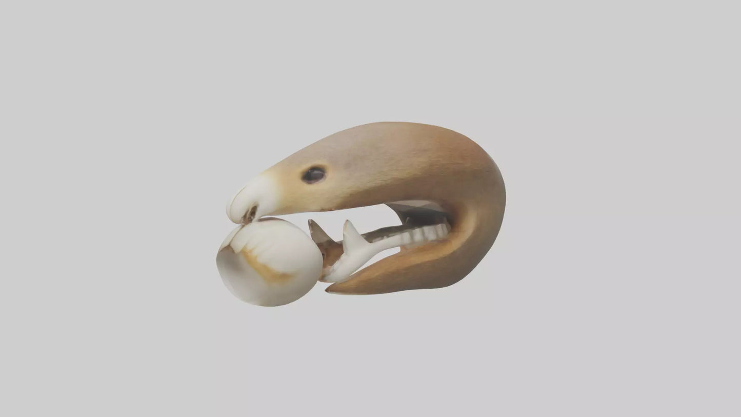 Squirrel Teeth Model 3D model